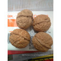 Professional supplier of Good quality walnuts in shell price for sale